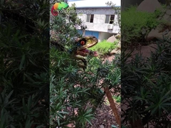 Αδιάβροχη μαριονέτα δεινοσαύρων ηλεκτρονικό εφέ εξοπλισμού παιδικών χαρών δεινοσαύρων για το πάρκο της Dino