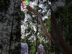 Sunproof 15M γιγαντιαίο ηλεκτρονικό εφέ ηλεκτρονικό εφέ Brachiosaurus πάρκων δεινοσαύρων ιουρασικό