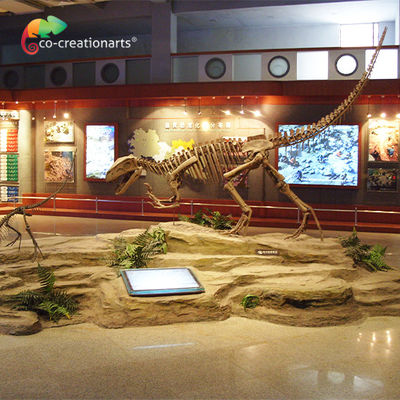 Αγορά Κρανίο Gasosaurus σκελετών δεινοσαύρων ρητίνης Sunproof online manufacture