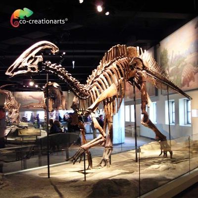 Στεγανοποιώντας το ιουρασικό σκελετό Parasaurolophus παγκόσμιου αντιγράφου 15 μέτρα μήκους