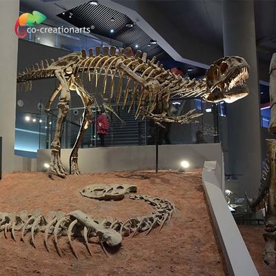 Αγορά landscape decoration Outdoor Yangchuanosaurus Skeleton Dinosaur Replica Fossil online manufacture