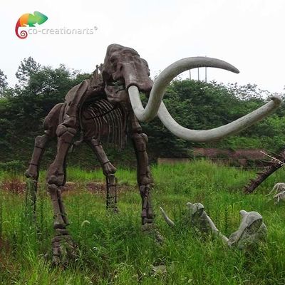καιρικού reistance πραγματικό μεγέθους πρότυπο Mammuthus σκελετών αντιγράφου ζωικό