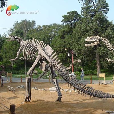 Ζωή φίμπεργκλας - αντι γήρανση σκελετών Hadrosaurus αντιγράφου κρανίων δεινοσαύρων μεγέθους
