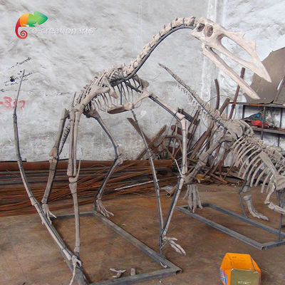 Αγορά Σκελετός Quetzalcoatlus σκελετών δεινοσαύρων ρητίνης έκθεσης μουσείων εξατομικεύσιμος online manufacture