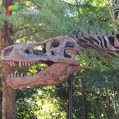 Αντίγραφο σκελετών καιρικής αντίστασης Τ Rex