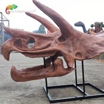 Αγορά Ιουρασικός σκελετός Sunproof Triceratops παγκόσμιου αντιγράφου για το μουσείο online manufacture