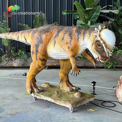 Ζωτικού μεγέθους Animatronic Δεινόσαυρος προσομοιωμένο Πακυκεφαλοσαύρος μάχη για το Jurassic Θέμα Ατραξιόν