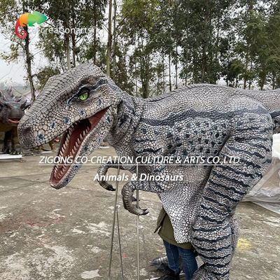 Αγορά Φορούμενη στολή Velociraptor Animatronic Ντινόσαυρος: Ζωητική Απαραγωγή για Διαδραστικές Εκθέσεις online manufacture